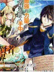作者论导演研究示意画面